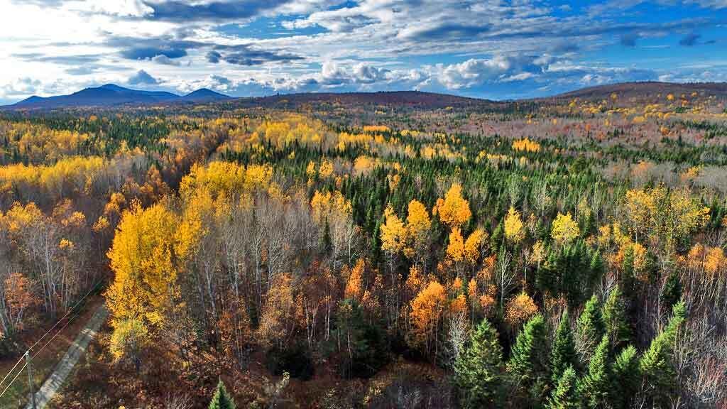 Lot 8-9 South Mill Road