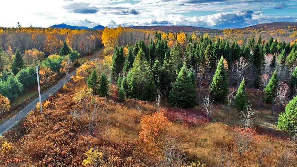 Lot 8-9 South Mill Road