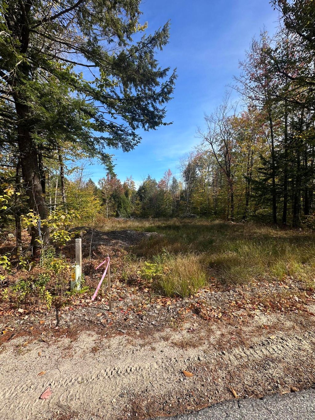 Photo of 400 Hancock Pond Road, Sebago, ME 04029 (MLS # 1640626)