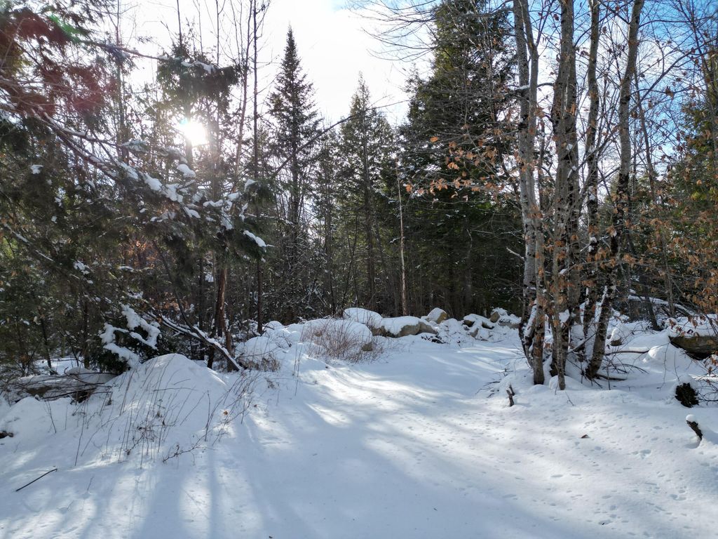 Photo of 16 Crooked Pond Road, Lincoln, ME 04457 (MLS # 1650260)