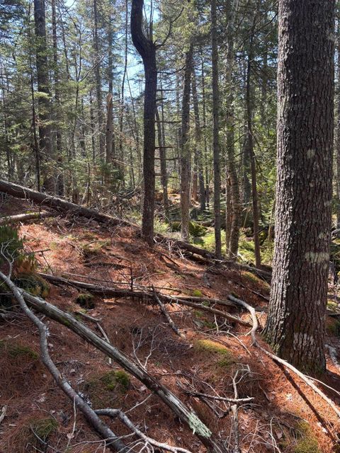 Photo of 0 Acadia Highway, Orland, ME 04472 (MLS # 1661783)