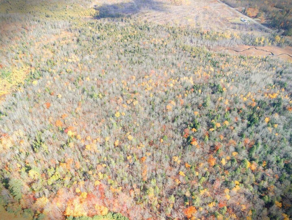 Photo of M17 L63-1 Beans Corner Road, Pittsfield, ME 04967 (MLS # 1641818)