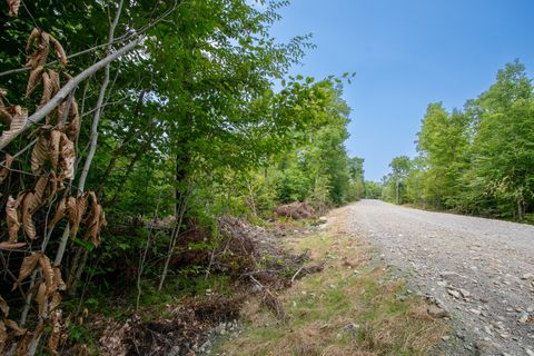 Photo of Lot2 Bear Brook Subdivision, Sebec, ME 04481 (MLS # 1648850)