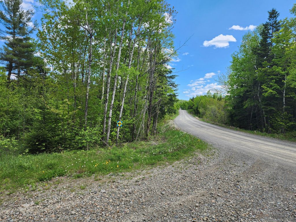 Photo of Lot 1 South Oakfield Road, Oakfield, ME 04763 (MLS # 1648697)