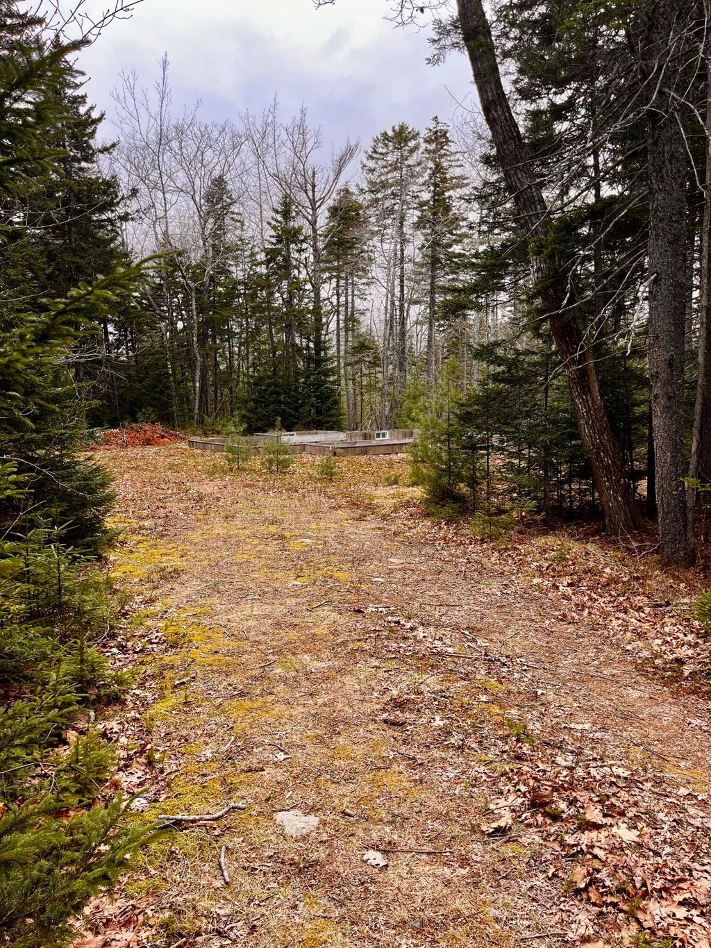 Photo of 34 Bunchberry Lane, Bristol, ME 04539 (MLS # 1660553)