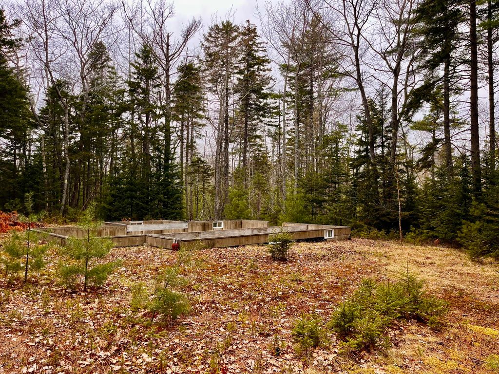 Photo of 34 Bunchberry Lane, Bristol, ME 04539 (MLS # 1660553)