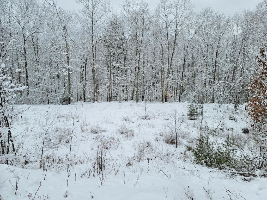 Photo of 9 Commons Drive, Lewiston, ME 04240 (MLS # 1654903)