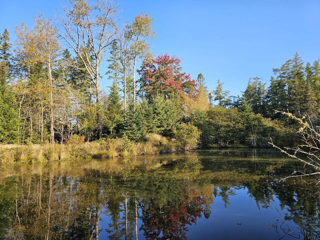 Photo of 121 Greenlaw District Road, Deer Isle, ME 04627 (MLS # 1640498)