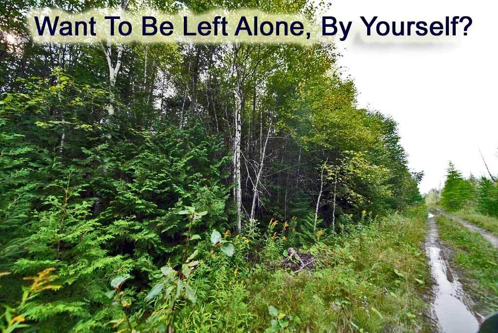 Lot 7 Off Pulcifer Road