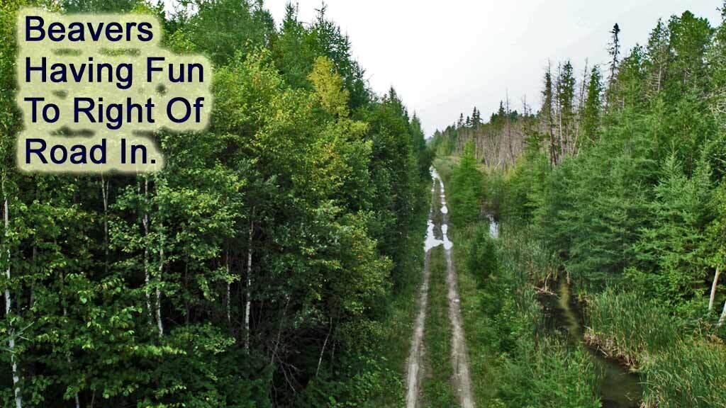 Lot 7 Off Pulcifer Road