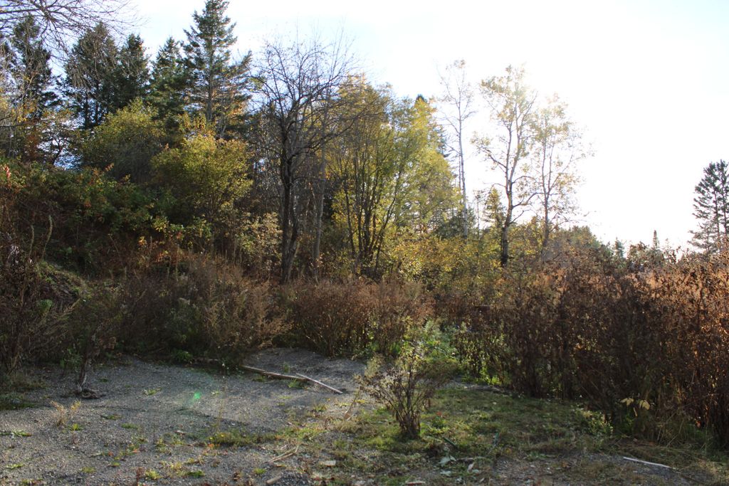 Photo of 121 Center Road, Easton, ME 04740 (MLS # 1641271)