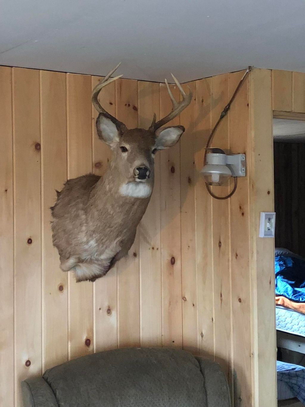 Photo of Project576 Benedicta TWP, Benedicta Twp, ME 04733 (MLS # 1654755)