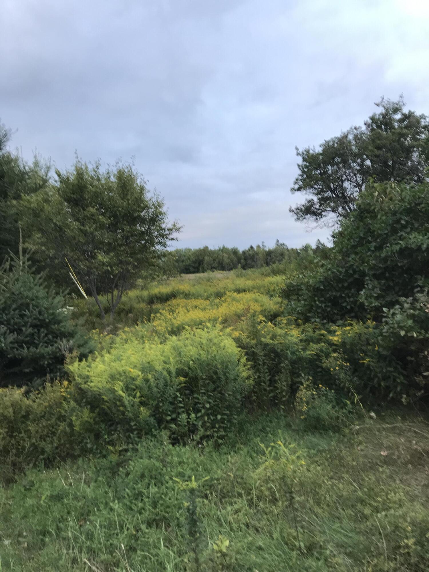 Crawford, Maine 04694, United States, ,Land,Active,45895