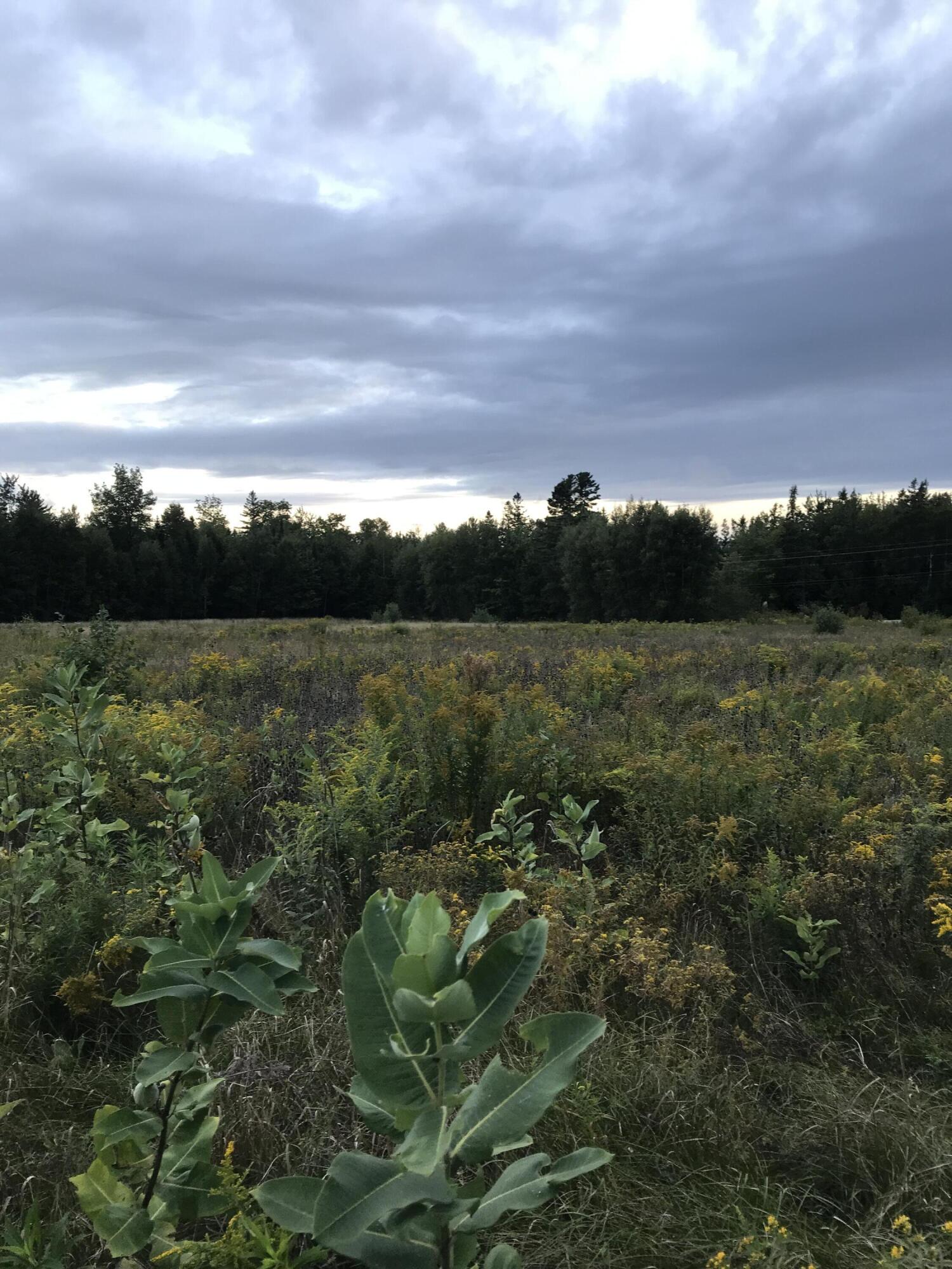 Crawford, Maine 04694, United States, ,Land,Active,45895