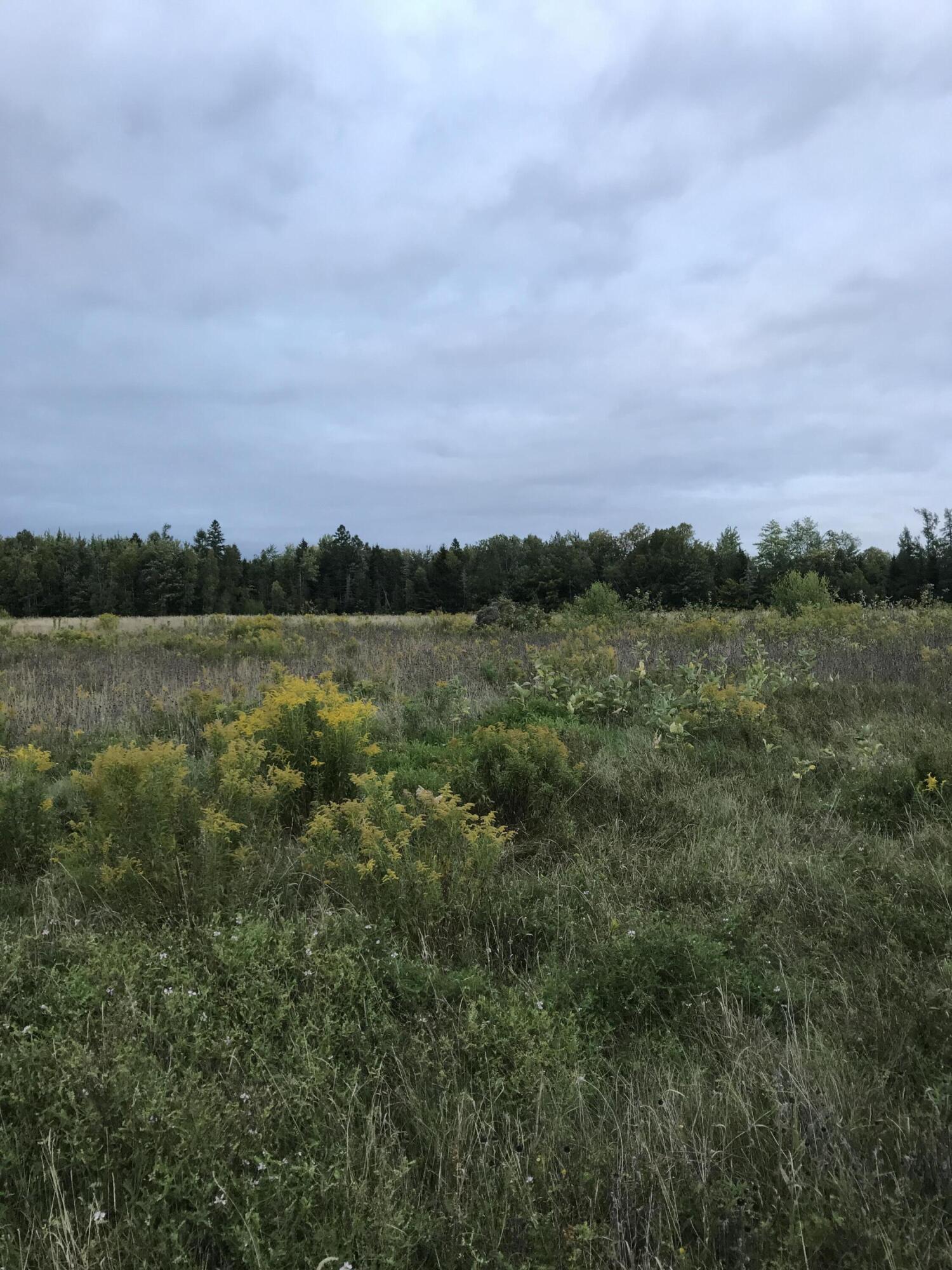 Crawford, Maine 04694, United States, ,Land,Active,45895