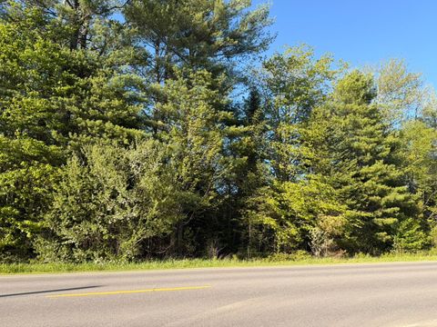 Photo of M5-L25-13 Union Street, Levant, ME 04456 (MLS # 1663841)