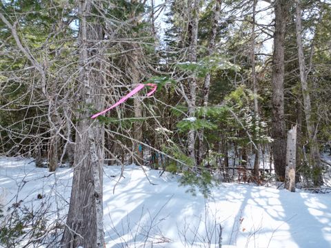 Photo of 20 Twin Springs Lane, Lincoln, ME 04457 (MLS # 1655250)