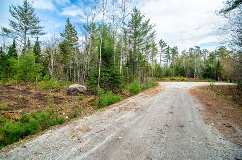 Photo of 4 Forest Drive Dr, Albany Twp, ME 04217 (MLS # 1626244)