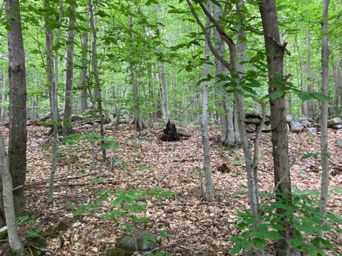 Photo of M4 L9-7 Rosenberg Road, Sumner, ME 04292 (MLS # 1626743)