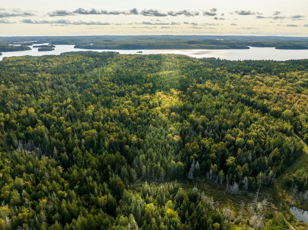 Photo of M11 L15 N Lubec Road, Lubec, ME 04652 (MLS # 1655863)