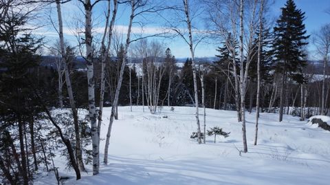 Photo of M13/L37 Barbara Lane, Sandy River Plt, ME 04970 (MLS # 1651899)