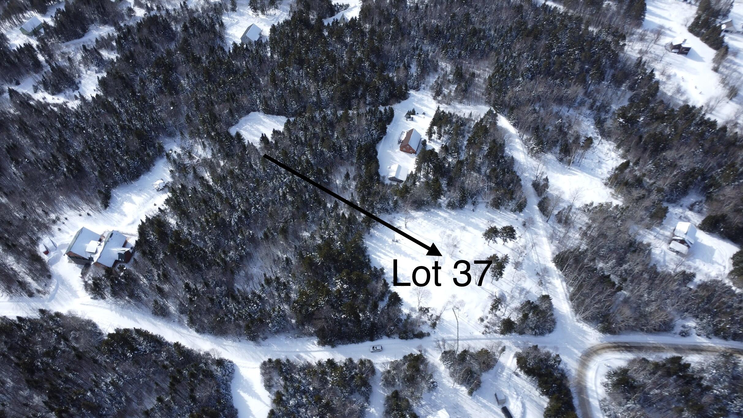 M13/L37 Barbara Lane