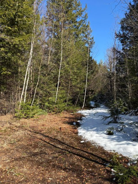 Photo of 4 Bog Brook Loop, West Paris, ME 04289 (MLS # 1657425)