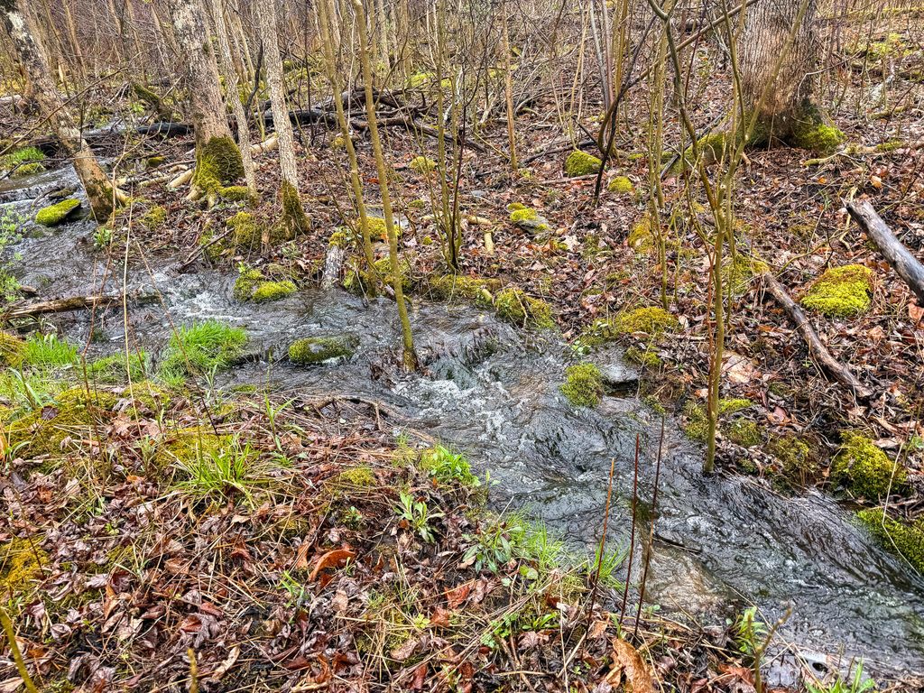 Photo of M6L18 Troy Road, Detroit, ME 04929 (MLS # 1661925)