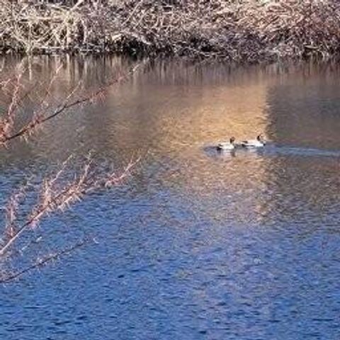 Photo of 14 Arab Road, Lee, ME 04455 (MLS # 1658358)