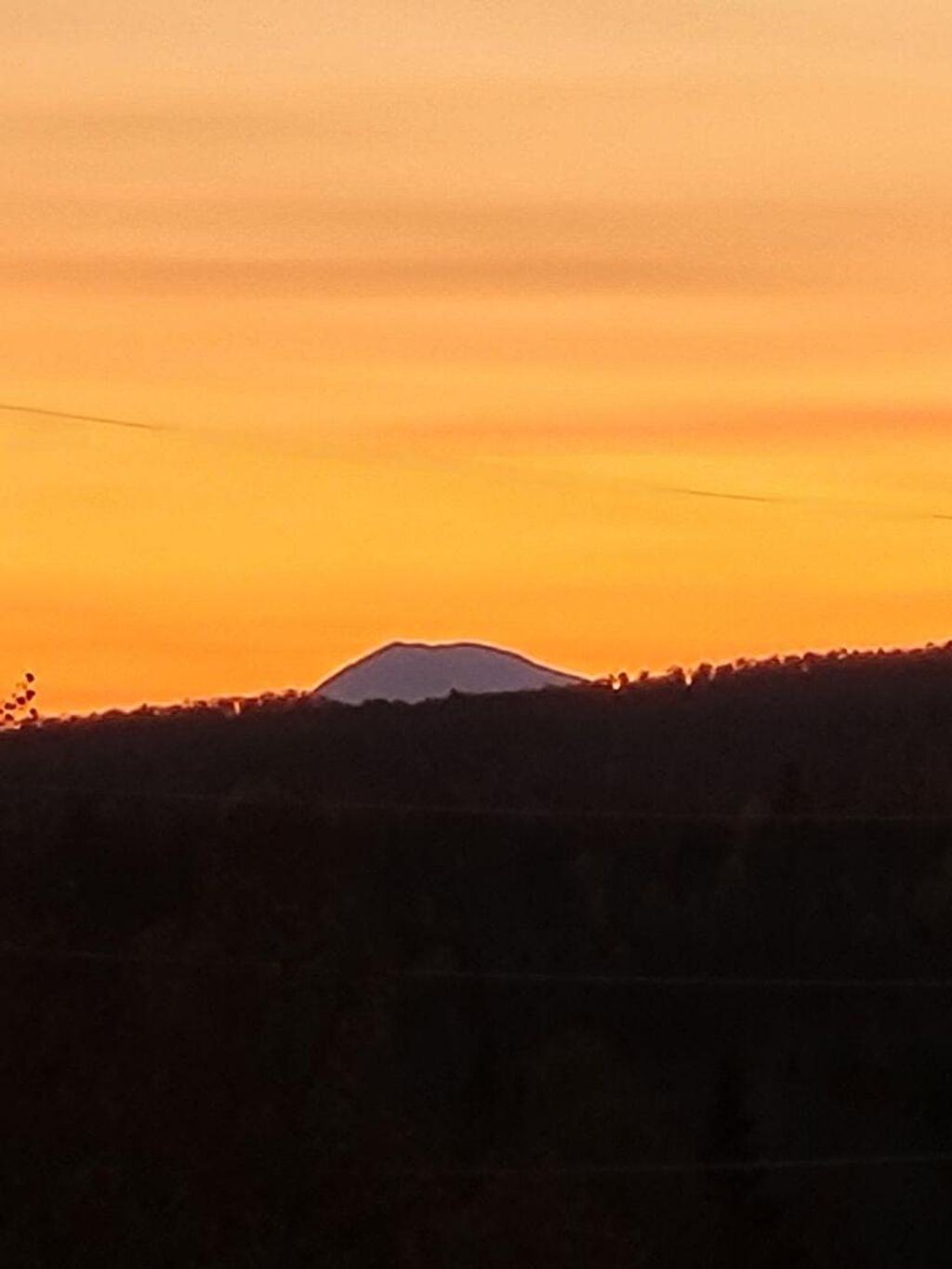 Photo of Lot 9 Moose Ridge Road, Oakfield, ME 04763 (MLS # 1646567)