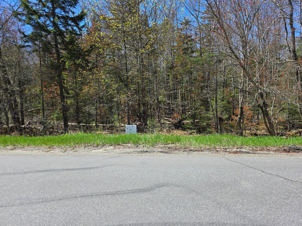 Photo of Lot #5 Turkey Cove/Wallston Road, Saint George, ME 04860 (MLS # 1661228)