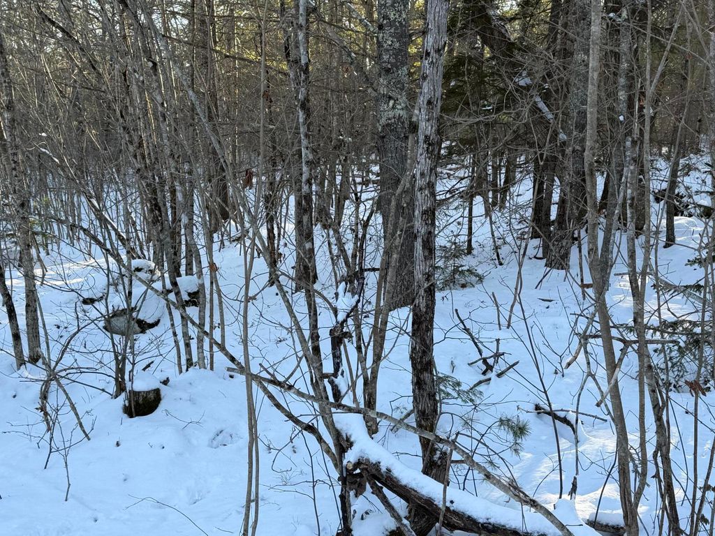 Photo of Lot 068003 Shore Road, Bremen, ME 04551 (MLS # 1649215)