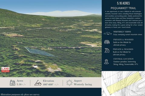 Photo of Lot 10 Pequawket Trail, Brownfield, ME 04010 (MLS # 1661420)