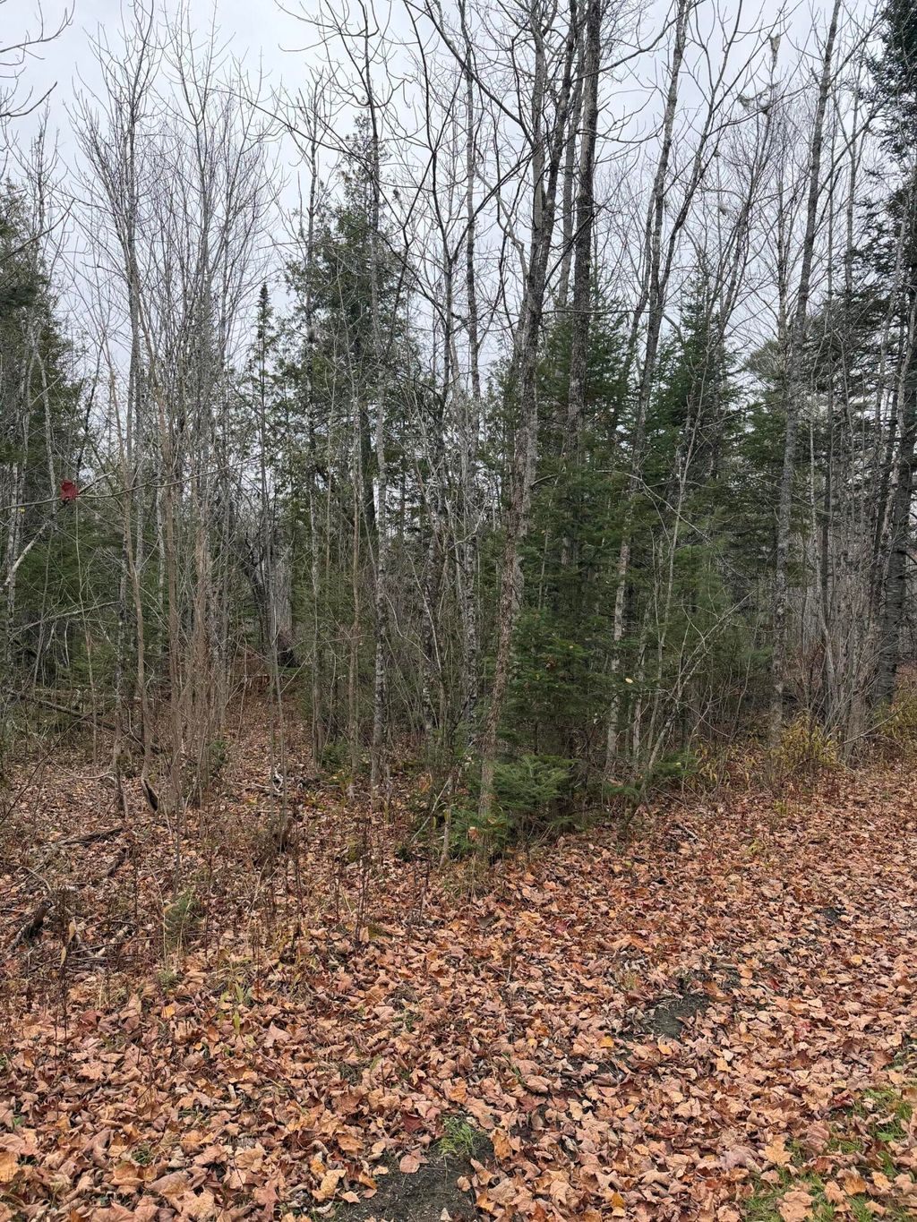 Photo of M8/L48-1 Isthmus Road, Bradford, ME 04410 (MLS # 1642475)