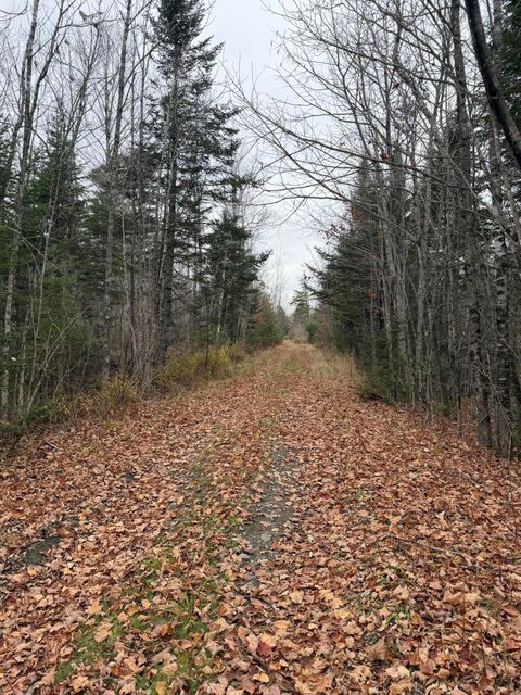 Photo of M8/L48-1 Isthmus Road, Bradford, ME 04410 (MLS # 1642475)