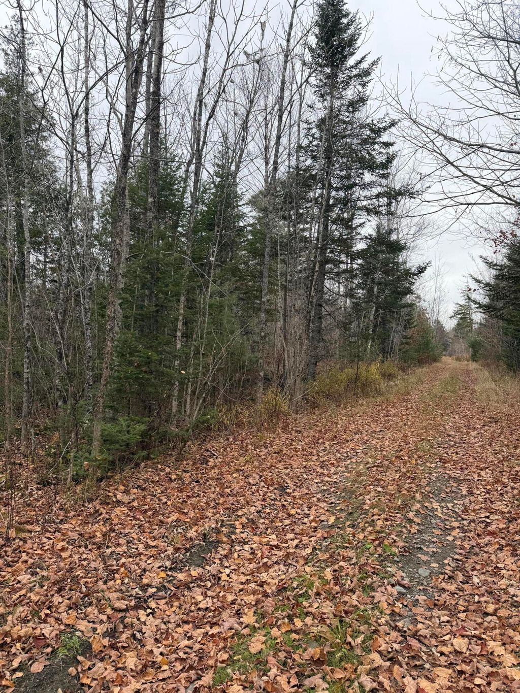 Photo of M8/L48-1 Isthmus Road, Bradford, ME 04410 (MLS # 1642475)