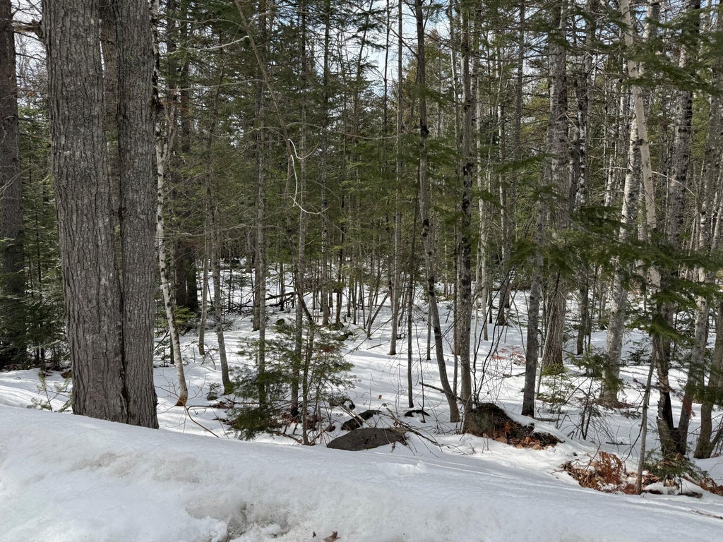 Photo of 2001 West Street, Carrabassett Valley, ME 04947 (MLS # 1655744)