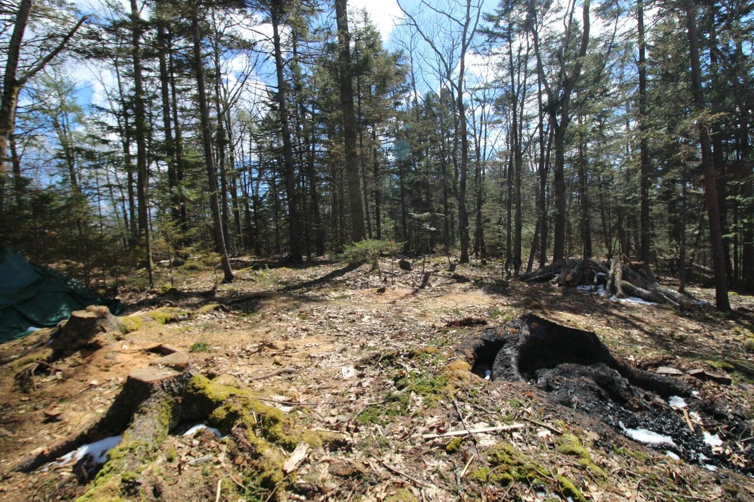 127 W West Side Drive