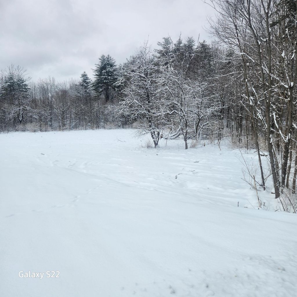 Photo of 292 Doyle Road, Whitefield, ME 04353 (MLS # 1649674)