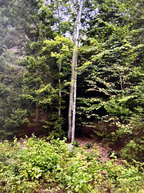 Photo of 163 Sandy Acres Drive, Sullivan, ME 04664 (MLS # 1655633)