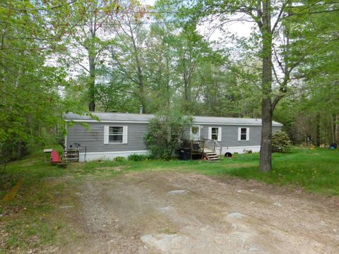 Photo of 46 Robichaud Road, Levant, ME 04456 (MLS # 1663496)