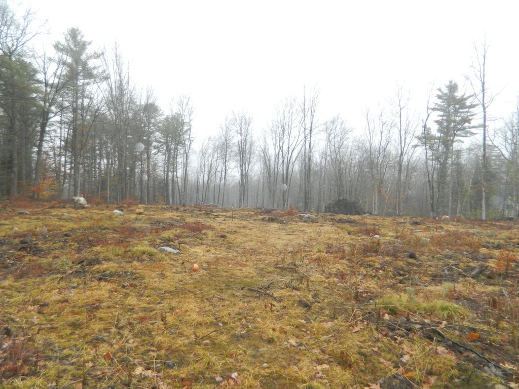 Photo of 0 Owls Nest Road, Shapleigh, ME 04076 (MLS # 1656372)