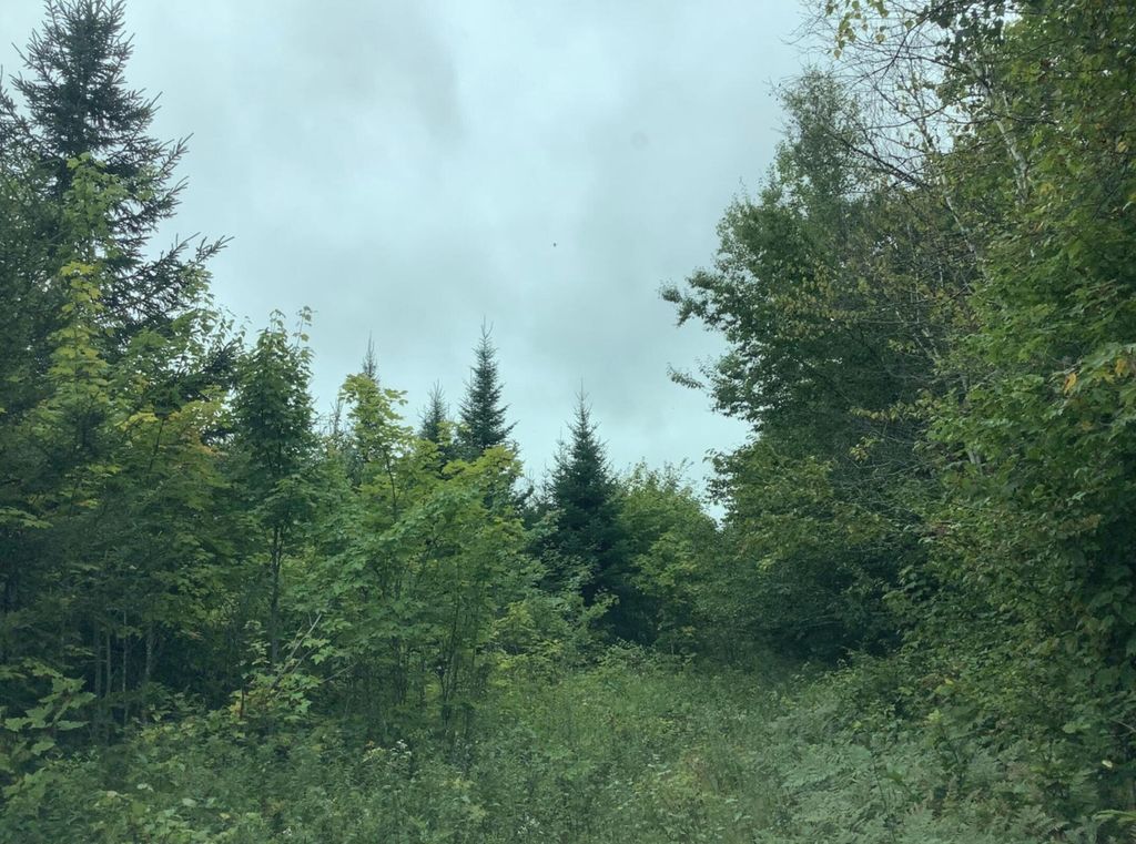 Photo of 3 Abel Cyr Road, Cyr Plt, ME 04785 (MLS # 1627117)