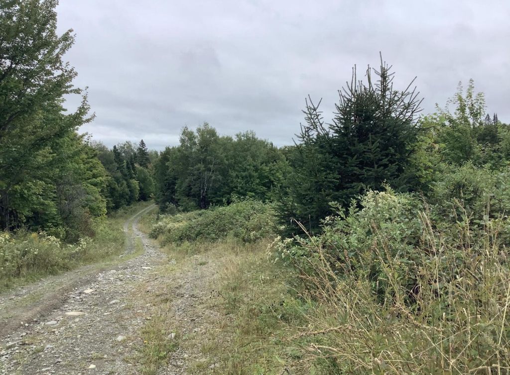 Photo of 3 Abel Cyr Road, Cyr Plt, ME 04785 (MLS # 1627117)
