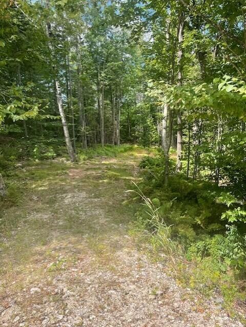 Photo of 64 Outlook Road, Woodstock, ME 04219 (MLS # 1635511)