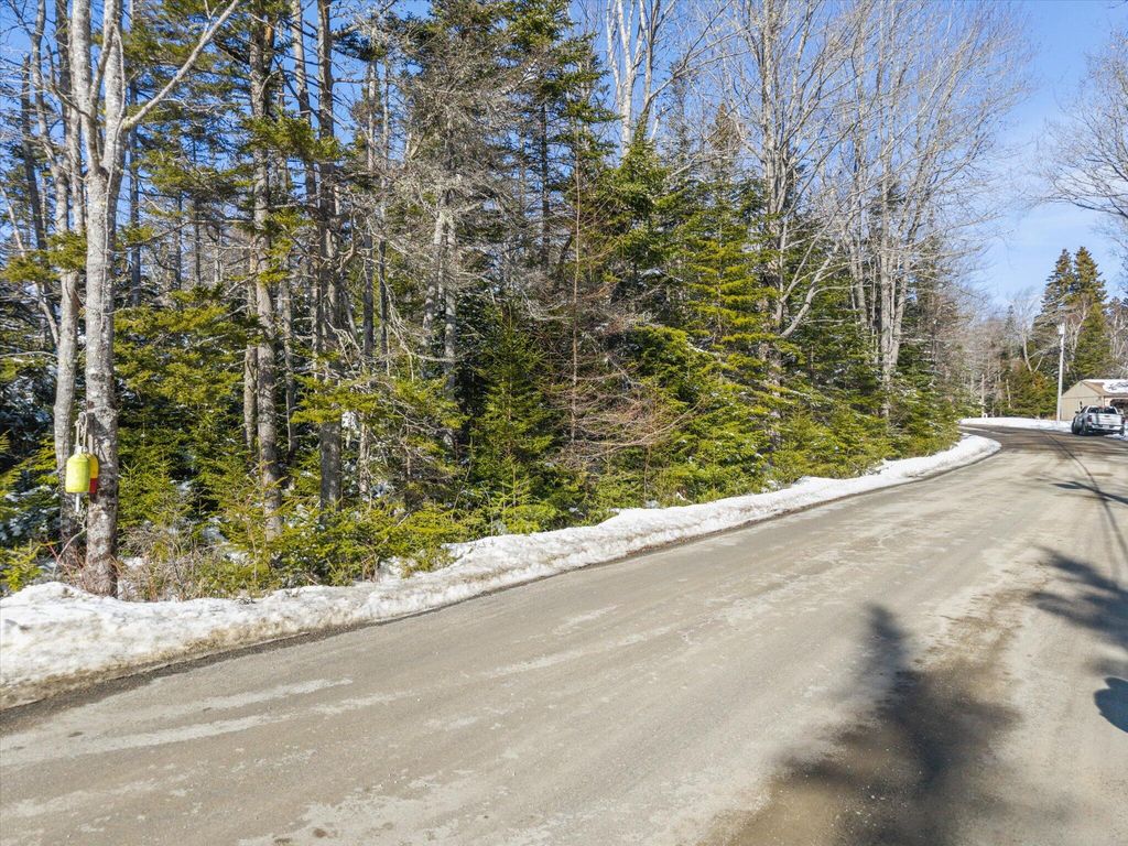 Photo of Lot #059 Paul Bunyan Road, Gouldsboro, ME 04624 (MLS # 1652081)