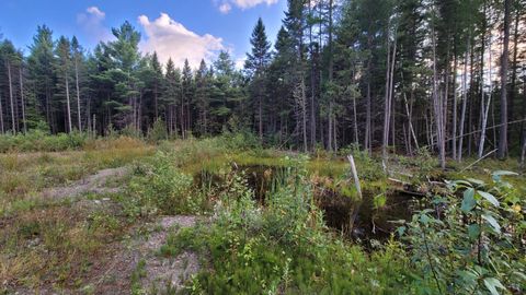 Photo of M15L10A Thomas Road, Woodland, ME 04736 (MLS # 1658585)