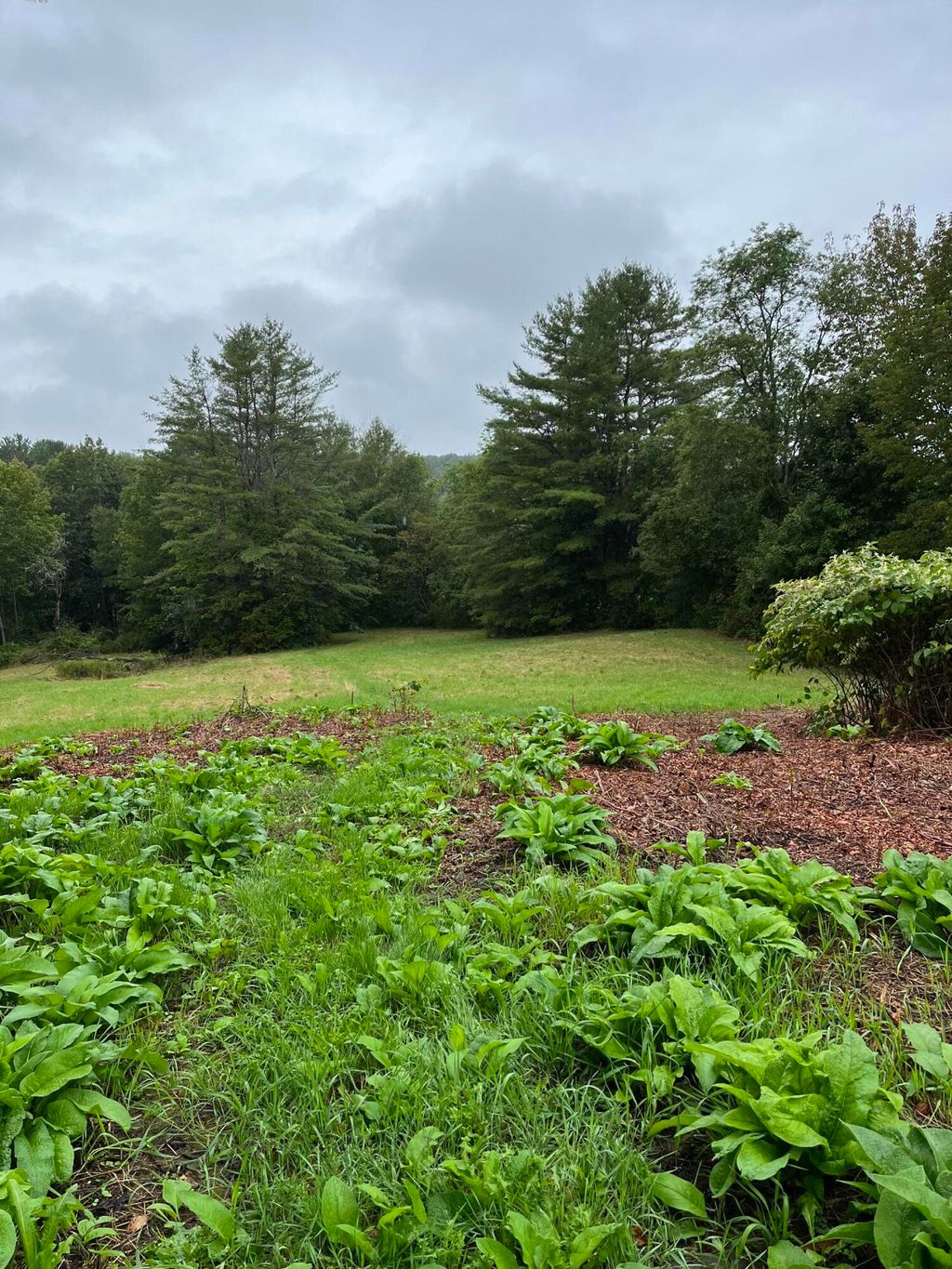Photo of 265 Friendship Road, Waldoboro, ME 04572 (MLS # 1657602)