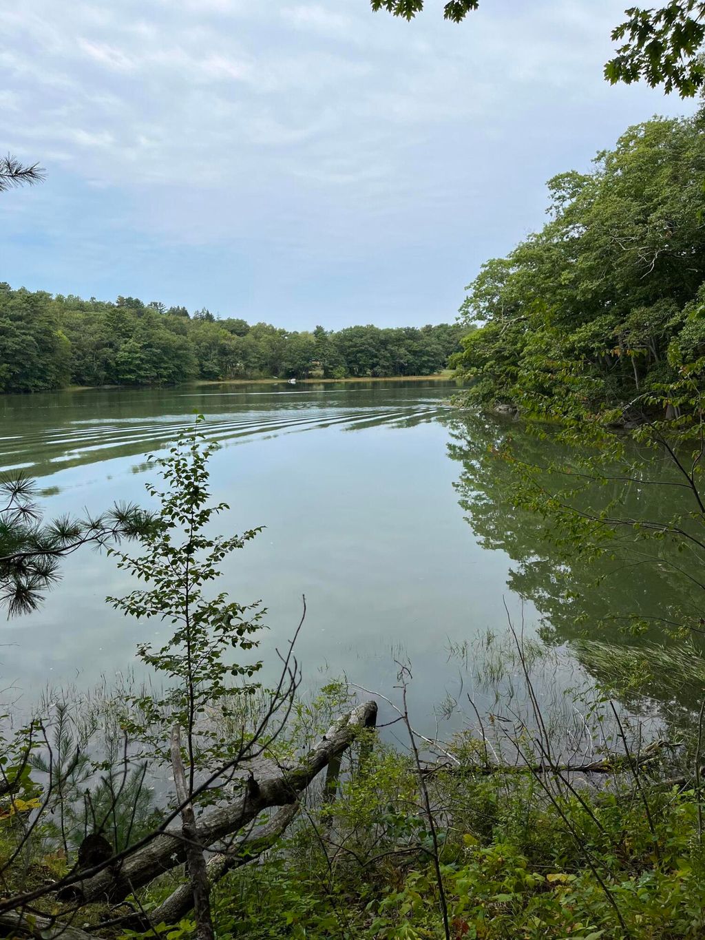 Photo of 265 Friendship Road, Waldoboro, ME 04572 (MLS # 1657602)