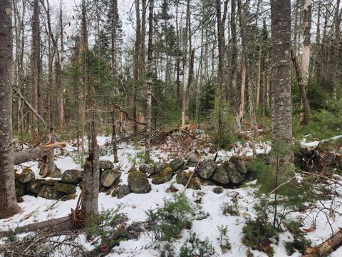 Map 13 Back Bryant Road Buckfield ME 04220